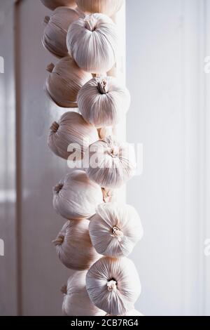 Garlic, Allium Sativum, A braid of hanging garlic bulbs in a kitchen.