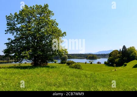 The Ostersee lakes south of Munich, Germany Stock Photo