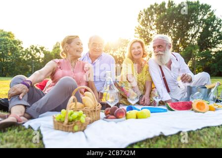 Group of seniors making a picnic at the park and having fun. Stock Photo