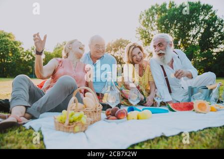 Group of seniors making a picnic at the park and having fun. Stock Photo