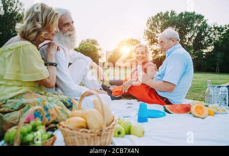 Group of seniors making a picnic at the park and having fun. Stock Photo