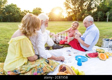 Group of seniors making a picnic at the park and having fun. Stock Photo