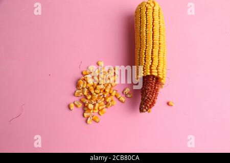 High angle closeup shot of a pile of peeled yellow corns on a pink background Stock Photo