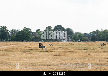 WIMBLEDON LONDON, UK - 11 August 2020.  People sitting on the parched grass in the late afternoon on  Wimbledon Common caused by minimal of rainfall in recent months and the dry conditions brought by the current heatwave.  The forecast is for high temperatures to remain until Thursday  and thunderstorms by the end of the week Credit: amer ghazzal/Alamy Live News Stock Photo