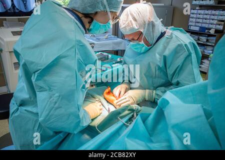 two doctors operate on a wrist fracture in an operating theatre Stock ...