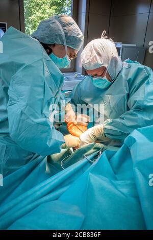 two doctors operate on a wrist fracture in an operating theatre Stock Photo