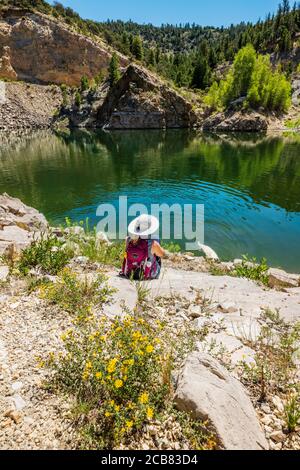 Woman watching Platinum colored Golden Retriever dog swimming in the Marble Quarry Gulch; Ute Trail; CR 184; near Turret; Colorado; USA Stock Photo