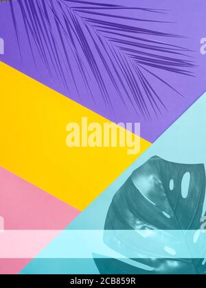 Colorful colored paper background with tropical leaf. Set design mock up. Copy space for text. Abstract pattern can use for design, wallpaper Stock Photo