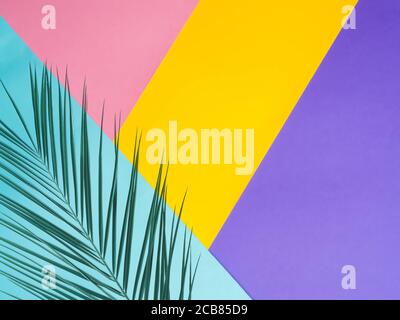 Colorful colored paper background with tropical leaf. Set design mock up. Copy space for text. Abstract pattern can use for design, wallpaper Stock Photo