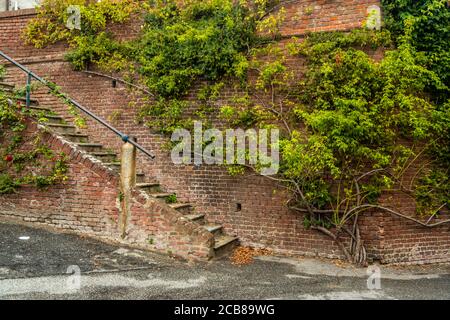 stairway with brick wall and tree Stock Photo