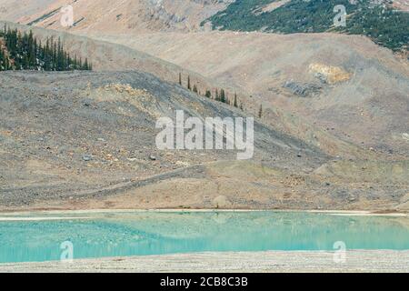 Reflections in a glacial lake at Columbia Icefields, Jasper National Park, Alberta, Canada Stock Photo