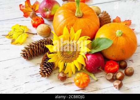 Autumn, fall, Thanksgiving concept. Pumpkins, sunflowers, apples and fallen leaves on rustic wooden table. Stock Photo