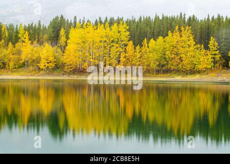 Autumn reflections in Wedge Pond, Kananaskis Country, Peter Loughheed Provincial Park, Canada Stock Photo