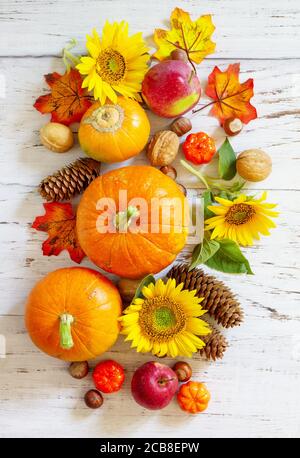 Happy Thanksgiving concept. Pumpkins, sunflowers, apples and fallen leaves on rustic wooden table. Top view flat lay. Stock Photo