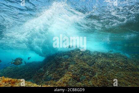 Underwater sea wave breaking on rock below water surface with some fish, Mediterranean sea Stock Photo