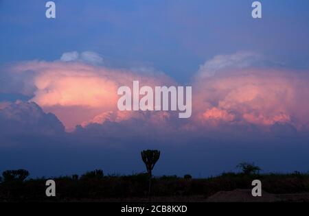 Thunderclouds develop after a hot day over the Western Rift in Queen Elizabeth National Park. Large cumulonimbus can result in violent storms that le Stock Photo