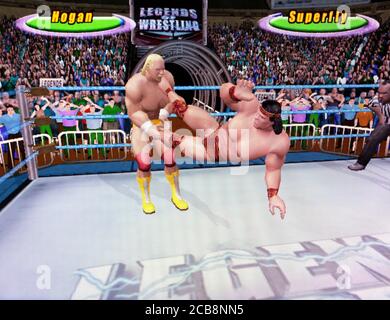 Legends of 2024 wrestling gamecube