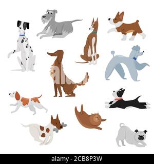 Cute funny domestic cartoon dogs pet vector illustration. Dog puppy pet characters. Furry human friends home happy animals set Stock Vector