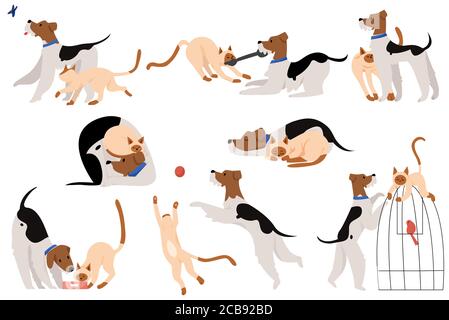 Cute touchable moments friendship pets character set flat cartoon vector illustration isolated on white background. Funny pair of tailed friends together play with ball and ribbon, sleeping, eating Stock Vector