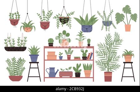 Great amount variety plants in pots flat design vector illustration set isolated on white background. Different indoor space size decoration elements. Houseplants on stand, on shelves, hanging, floor Stock Vector