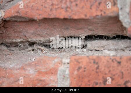 Selective focus shot of a web on rocks Stock Photo