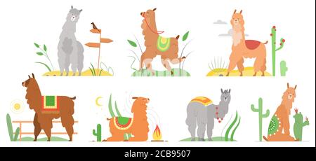 Cartoon lama flat vector illustrations. Cute llamas alpaca characters smiling, walking, jumping, sleeping in Peru desert landscape with cactuses. Mexican funny lama animal collection isolated on white Stock Vector