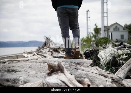 Man walking on driftwood on Vashon Island, Seattle Stock Photo