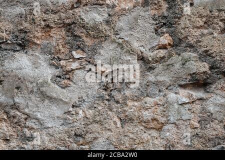 Old concrete or rock wall with green moss and fern Stock Photo
