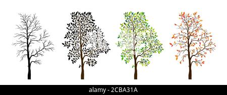 Tree seasons nature background. Vector illustration Stock Vector