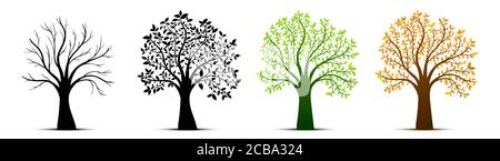 Tree seasons nature background. Vector illustration Stock Vector