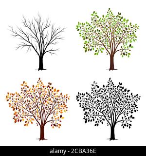 Four seasons of tree. Vector illustration Stock Vector