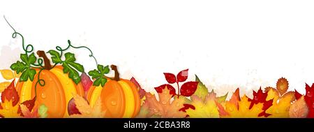 Autumn frame with pumpkins and colorful leaves isolated on transparent ...
