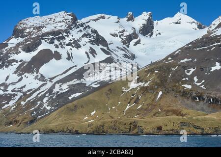 King Haakon Bay, snow covered mountains and glaciers, South Georgia, South Georgia and the Sandwich Islands, Antarctica Stock Photo