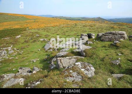 View from Yar Tor across Corndon down towards Sharp tor, Dartmoor National Park, Devon, England, UK Stock Photo