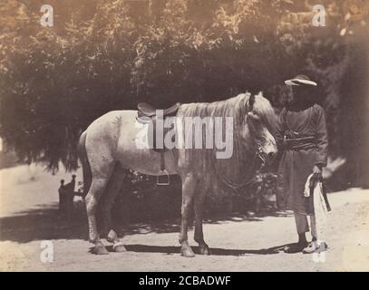 Lord Canning's Hill Pony, 1858-61. Stock Photo
