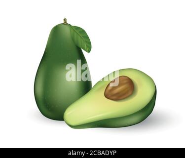 Realistic fresh fruit avocado isolated on white. Whole and cut in half avocado with seed and green leaf. Vector illustration. Stock Vector
