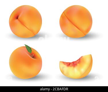 Realistic ripe peach fruit isolated on white. Whole and cut in half orange peach with seed and green leaf. Vector illustration. Stock Vector