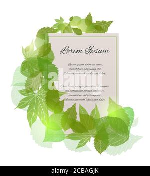 Vector card with place for your text.The letter of thanks. Invitation with green leaves Stock Vector