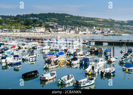 Lyme Regis, Dorset, UK.  12th August 2020.  UK Weather.  The Cobb Harbour under clear blue skies at the seaside resort of Lyme Regis in Dorset on another scorching hot sunny day as the heatwave continues.  Picture Credit: Graham Hunt/Alamy Live News Stock Photo