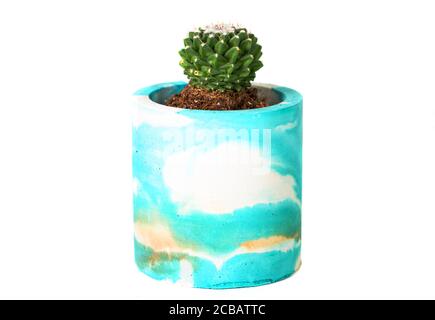 A small cactus in a beautiful ceramic pot isolated on white background Stock Photo