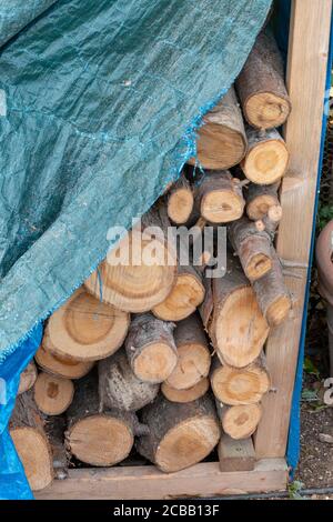 a close up view of a pile of cut logs stacked on top of each other Stock Photo