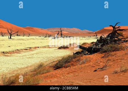 Naukluft National Park Namibia,  Dead Vlei is a clay pan in the desert with dead trees. Stock Photo