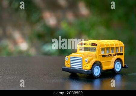 Yellow school bus toy model. Back to school concept. Image with selective focus and copy space. Stock Photo