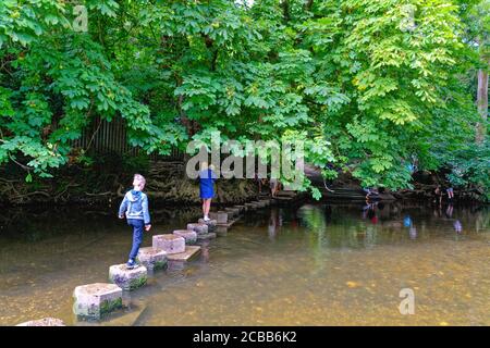 The Stepping Stones crossing the River Mole at Box Hill with people enjoying a hot summers day by the river  Dorking Surrey England UK Stock Photo