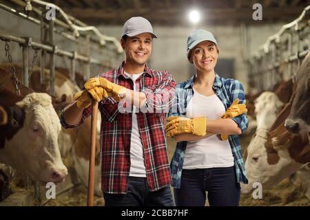 Male and female young farmers standing in a cowshed with cows behind Stock Photo