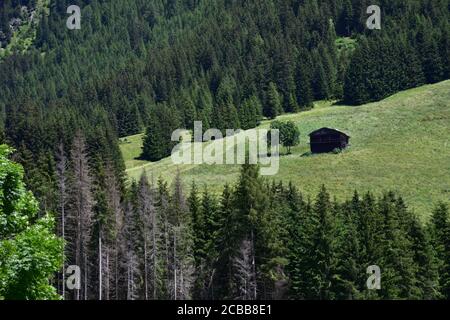 An old barn in the woods at the end of the Gsies valley Stock Photo