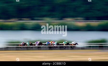 A general view as runners and riders race down the back straight in the Unibet Casino Deposit 10 Get 40 Bonus Handicap (Div 1) at Kempton Park Racecourse, Surrey. Stock Photo