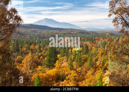 Pit Canyon Autumn -  Fall colors grace Pit Canyon, with dormant lava dome Burney Mountain in the background. Fall River Mills, California, USA Stock Photo