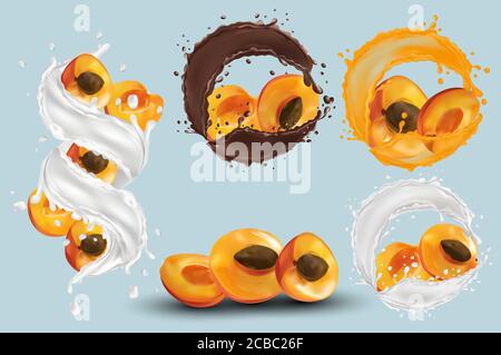 Apricot juice, apricot in chocolate, milk splash. Collection fresh apricot. Sweet dessert. 3D realistic apricot. Vector illustration Stock Vector