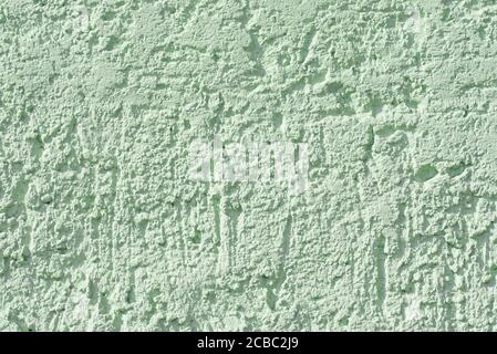 Green textured plaster in a close-up Stock Photo